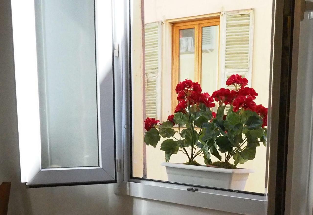 Apartment 2 Bedroom Old Town Centre Nizza